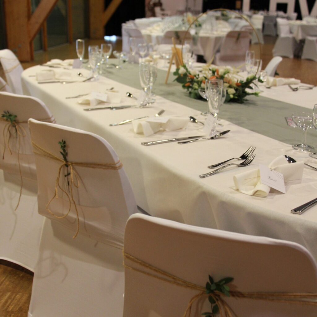 496408819 1251397086993167 8956066847090466157 n