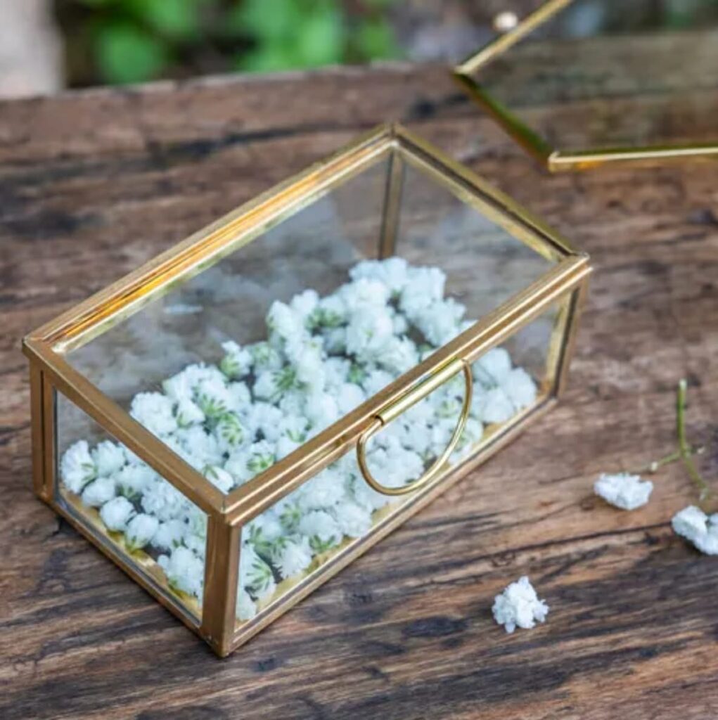 fb51f962 a636 48c7 9fb0 cb8f75b2c73f